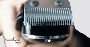 How to Sharpen Electric Razor