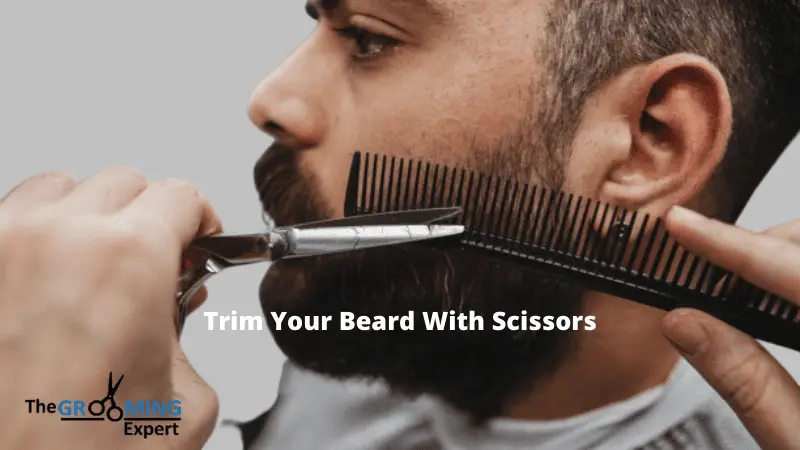 How to Trim Your Beard With Scissors Ultimate Guide to Trim