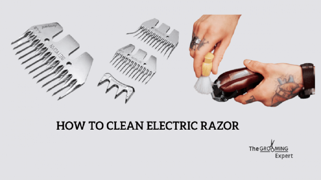 How to Clean Electric Razor | Disinfecting Razor from Microbes